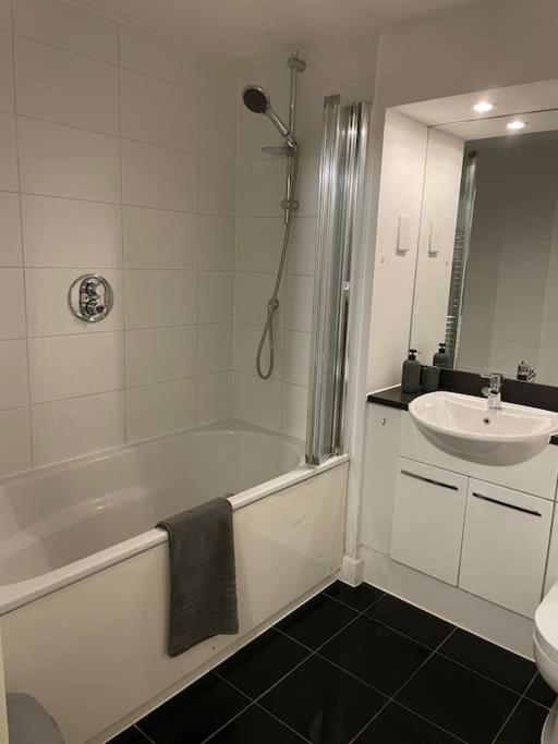 1 Bedroom Apartment Royal Docks Londyn Zewnętrze zdjęcie